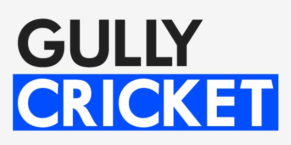 gully cricket logo